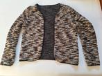 Vestje, Kleding | Dames, Ophalen of Verzenden, Zo goed als nieuw, Maat 38/40 (M)