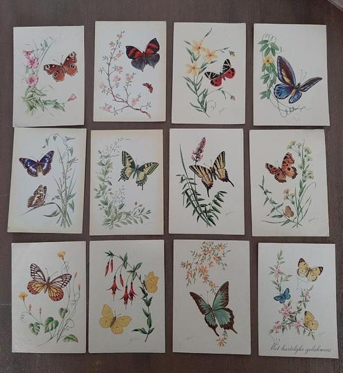 Vlinders, A. Block, 12 verschillende kaarten, gelopen/ongelo, Verzamelen, Ansichtkaarten | Dieren, Gelopen, 1980 tot heden, Overige soorten
