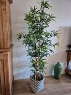 Grote bamboe kunst pland - struik met mand, Ophalen, Zo goed als nieuw