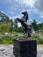 Klasiek beeld - Stijgerend Paard, Ophalen of Verzenden