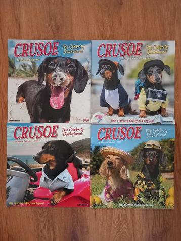 Crusoe the celebrity dachshund kalenders (Nijmegen oost) beschikbaar voor biedingen