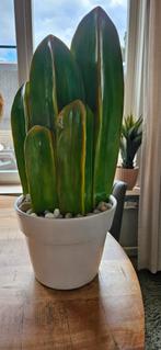Youniq kunst cactus, Ophalen, Zo goed als nieuw, Binnen