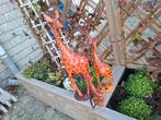 set van 3 mooie handgemaakte houten giraffen, Verzamelen, Beelden en Beeldjes, Ophalen of Verzenden, Zo goed als nieuw, Mens