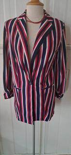 Travelstof jasje van JANE LUSHKA maat 36, Gi, Ophalen of Verzenden, Zo goed als nieuw, Jane Lushka