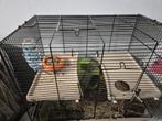 Kooien, Ophalen of Verzenden, Zo goed als nieuw, Kooi, Minder dan 60 cm