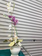 kunst plant orchideeen wit en paars, Ophalen of Verzenden
