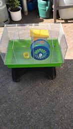 Rat of hamster kooitje met slaap huisje in de kooi, Ophalen of Verzenden, Gebruikt, Loopwiel of Rad