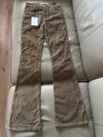 Homage Jane Velvet Flared Broek - Nieuw!, Kleding | Dames, Broeken en Pantalons, Bruin, Nieuw, Ophalen of Verzenden, Maat 34 (XS) of kleiner