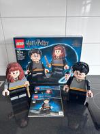 LEGO Harry Potter 76393 Harry Potter & Hermelien Griffel, Ophalen of Verzenden