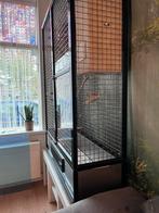 Grote rvs vogelkooi Papegaai, plexiglas . Haarlem, Ophalen, Zo goed als nieuw, Overige materialen, Vogelkooi
