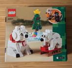 LEGO 40571 IJsberen in de winter, Ophalen of Verzenden, Nieuw, Complete set, Lego