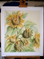 ZONNEBLOEMEN, Ophalen of Verzenden