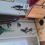 Staande lamp, Witgoed en Apparatuur, Zonnebanken en Gezichtsbruiners, Ophalen of Verzenden, Zo goed als nieuw, Zonnebank enkelzijdig