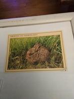 GROETEN UIT  VOORTHUIZEN, Ophalen of Verzenden, 1980 tot heden