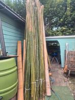 Bamboestokken / tonkinstokken, Tuin en Terras, Palen, Balken en Planken, Ophalen, Nieuw, Minder dan 180 cm, Overige typen