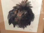 Ruw harige teckel aquarel,honden schilderij,boomer hond, Antiek en Kunst, Ophalen