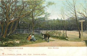(381-273-001) Den Haag Scheveningsche Boschjes beschikbaar voor biedingen