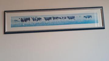 Koeien schilderij blauw beschikbaar voor biedingen