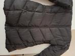 Girls Rule, Kleding | Dames, Jassen | Winter, Ophalen of Verzenden, Gedragen, Maat 34 (XS) of kleiner