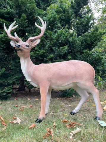 Hert gewei beeld tuin bos bosdieren beschikbaar voor biedingen