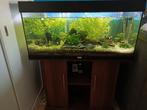 Juwel aquarium Rio 180 +kast compleet set, Dieren en Toebehoren, Vissen | Aquaria en Toebehoren, Ophalen, Zo goed als nieuw, Leeg aquarium