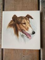 Wandtegeltje / tegel hond. Collie / Lassiehond tegel., Ophalen