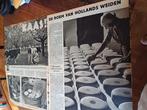 Artikel over kaas Bodegraven 4 pagina s 1951, Verzamelen, Ophalen of Verzenden, 1940 tot 1960