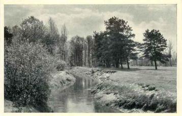 (301-108-011) Twente De Dinkel bij de Kribbenbrug beschikbaar voor biedingen