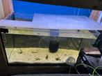 2 aquariums 80x35x40 hoog leeg !, Dieren en Toebehoren, Vissen | Aquaria en Toebehoren, Ophalen, Zo goed als nieuw, Leeg aquarium