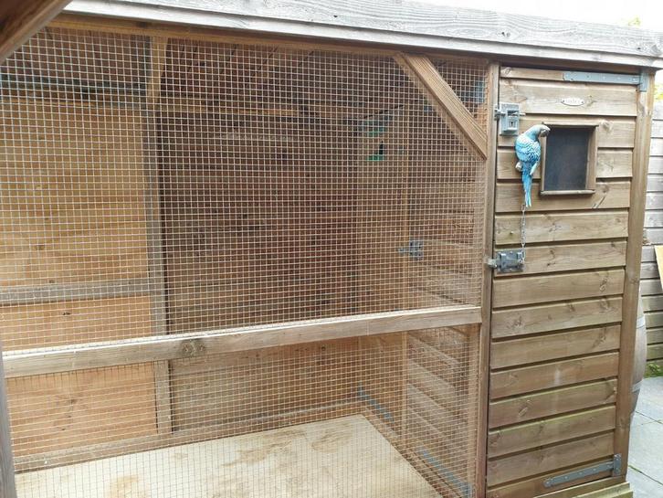 te koop voliere, Dieren en Toebehoren, Vogels | Hokken en Kooien, Gebruikt, Volière, Hout, Ophalen
