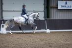 Dressuur instructrice | training | paardrijles aangeboden, Paardrijles of Ponykampen