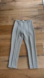 Marlene Birger stretch broek nieuw maat 38, Overige kleuren, Nieuw, Ophalen of Verzenden, Lang