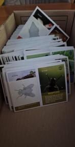 Top insecten plaatjes van AH + tatoo 0,10 per stuk, Albert Heijn, Ophalen of Verzenden