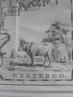 Tirion - Westergo 1786 - kopergravure, Nederland, Voor 1800, Tirion, Landkaart