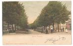 Hoorn-10   Veemarkt Met P. 1904, Verzamelen, Ansichtkaarten | Nederland, Verzenden, Voor 1920, Gelopen, Noord-Holland