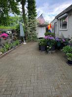 Chalet (73m2) met garage aan de plas op camping de Maashorst, Caravans en Kamperen, Stacaravans, Tot en met 4