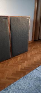 Grote richard allan pavane luidsprekers lees beschrijving., Gebruikt, 60 tot 120 watt, Front, Rear of Stereo speakers, Ophalen