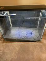 Aqarium superfish home 80, Dieren en Toebehoren, Vissen | Aquaria en Toebehoren, Ophalen, Zo goed als nieuw