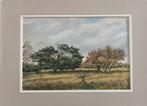 Aquarel, Amsterdamse Waterleiding Duinen, omgeving Zegveld, Ophalen of Verzenden