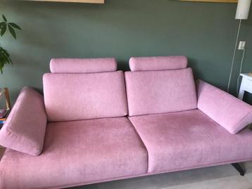 Roze bank