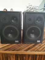 Magnat, Audio, Tv en Foto, Luidsprekers, Ophalen, Gebruikt, Magnat, 60 tot 120 watt