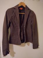 Korte jasje / blazer bruin, maat 36-38, merk Fashion Studio, Bruin, Ophalen of Verzenden, Zo goed als nieuw, Jasje