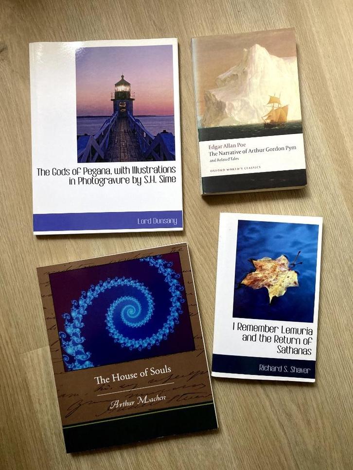 Set occulte / fantasy / spirituele boeken, Boeken, Fantasy, Zo goed als nieuw, Verzenden