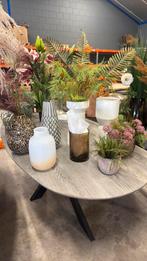 Diverse vazen, Huis en Inrichting, Woonaccessoires | Vazen, Ophalen, Overige kleuren, Nieuw, Glas
