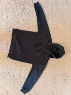 Ralph lauren hoodie, Kleding | Heren, Truien en Vesten, Ophalen of Verzenden, Zo goed als nieuw, Maat 48/50 (M), Blauw