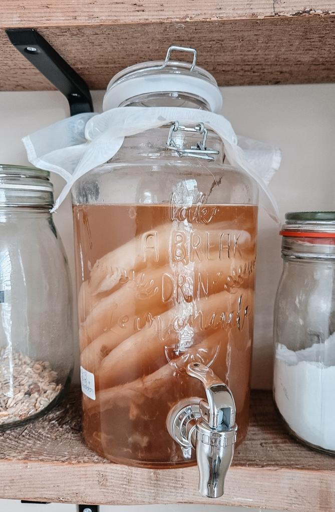 Scoby + starter vloeistof voor Kombucha - biologisch & vers, Huis en Inrichting, Keuken | Keukenbenodigdheden, Nieuw, Ophalen
