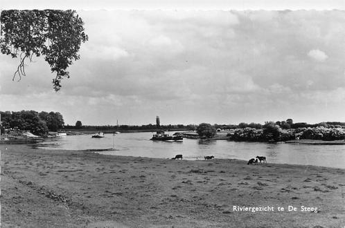 (387-250-001) De Steeg Riviergezicht, Verzamelen, Ansichtkaarten | Nederland, Gelderland, Verzenden