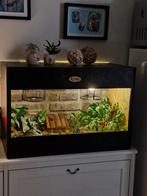 Osb3 terrarium RepHouSZ
. Ook maatwerk, Ophalen, Nieuw, Terrarium of Paludarium