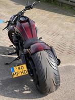 Harley Night Rod Special Arnassy, Motoren, Motoren | Harley-Davidson, Particulier, 1250 cc