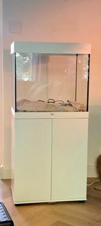 Lido 120 Juwel., Dieren en Toebehoren, Vissen | Aquaria en Toebehoren, Ophalen